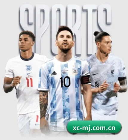 五大服务分区,信息按项目分类 - 多运动项目内容板块